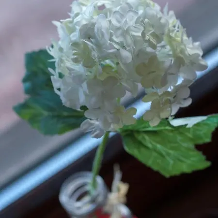 Farmház Seifterhof *